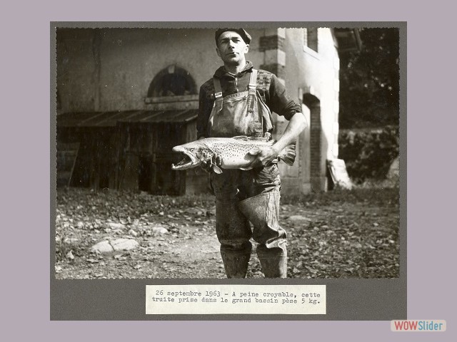 p38-R